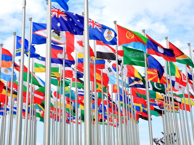 flags